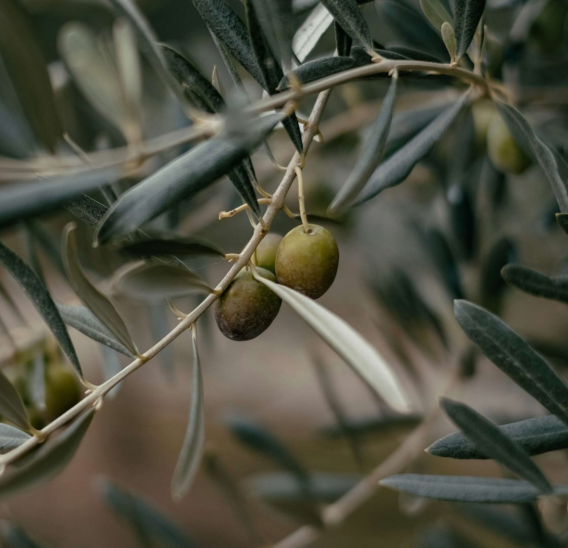 emre-RuqOeMvPlzQ-unsplash