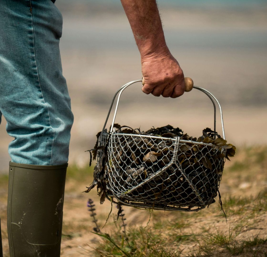 matt-seymour-c8YyNoxiFLw-unsplash